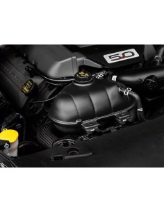 Tapa del depósito de refrigerante - Negro texturizado (MUSTANG 15-23) 2