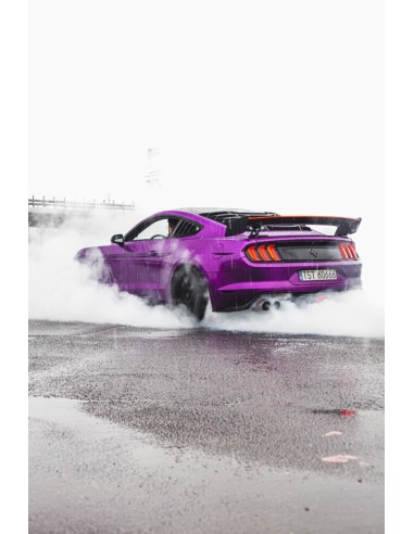 Alerón trasero grande - Estilo Shelby GT500 - Negro brillante (MUSTANG Fastback 15-23)