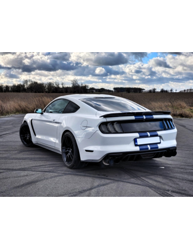 Alerón trasero estilo GT350, negro brillante (MUSTANG Fastback 15-23)