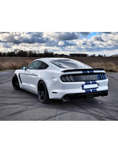 Alerón trasero estilo GT350, negro brillante (MUSTANG Fastback 15-23)
