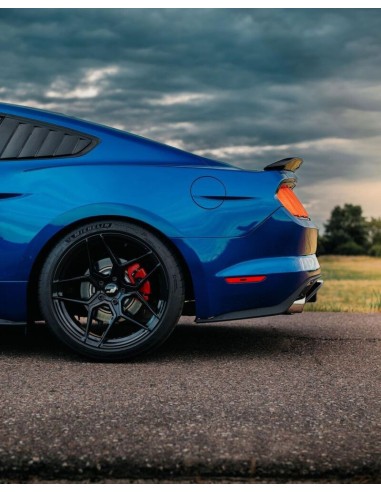 Alerón trasero estilo GT350, negro brillante (MUSTANG Fastback 15-23)