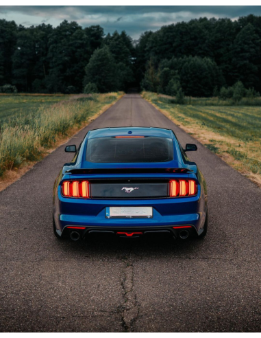 Alerón trasero estilo GT350, negro brillante (MUSTANG Fastback 15-23)