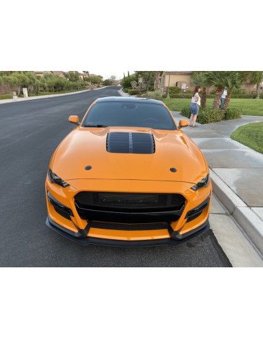 Capó de aluminio - Estilo GT500 1:1 - Ikon (MUSTANG 18-23 GT, Ecoboost)