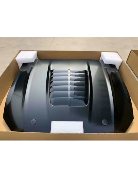 Capó de aluminio estilo GT500 con entrada de aire en negro brillante (MUSTANG GT 18-23, Ecoboost)