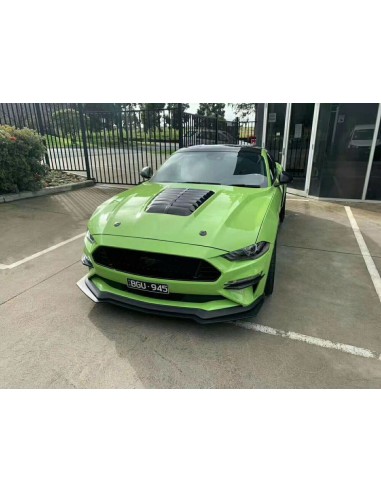 Capó de aluminio estilo GT500 con entrada de aire en negro brillante (MUSTANG GT 18-23, Ecoboost)