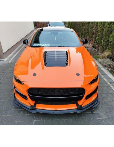 Capó de aluminio estilo GT500 con entrada de aire en negro brillante (MUSTANG GT 18-23, Ecoboost)