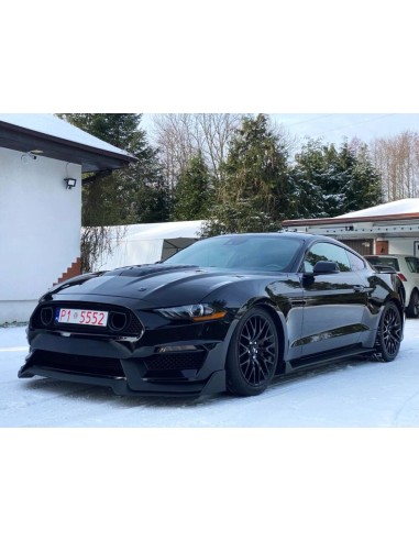 Capó de aluminio estilo GT500 con entrada de aire en negro brillante (MUSTANG GT 18-23, Ecoboost)