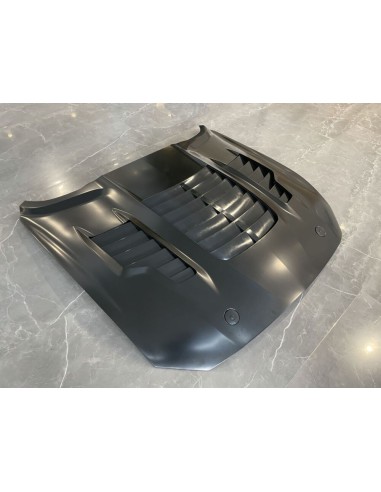Capó de aluminio - Estilo GT500KR 1:1 (MUSTANG 18-23 GT, Ecoboost)