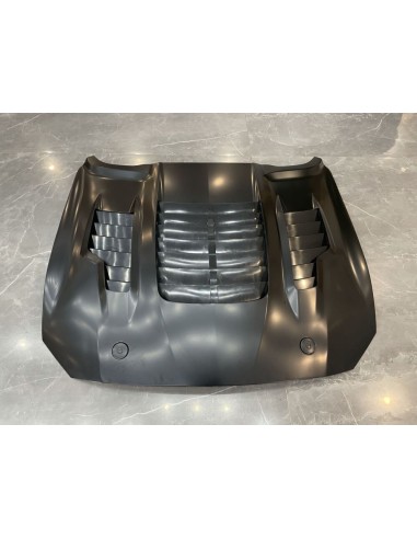 Capó de aluminio - Estilo GT500KR 1:1 (MUSTANG 18-23 GT, Ecoboost)