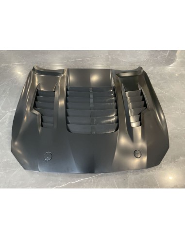 Capó de aluminio - Estilo GT500KR 1:1 (MUSTANG 18-23 GT, Ecoboost)