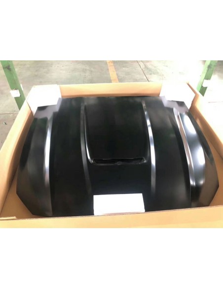 Capó de aluminio estilo GT350 (MUSTANG 18-23 GT, Ecoboost)