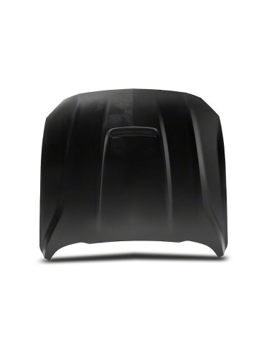 Capó de aluminio estilo GT350 (MUSTANG 18-23 GT, Ecoboost)