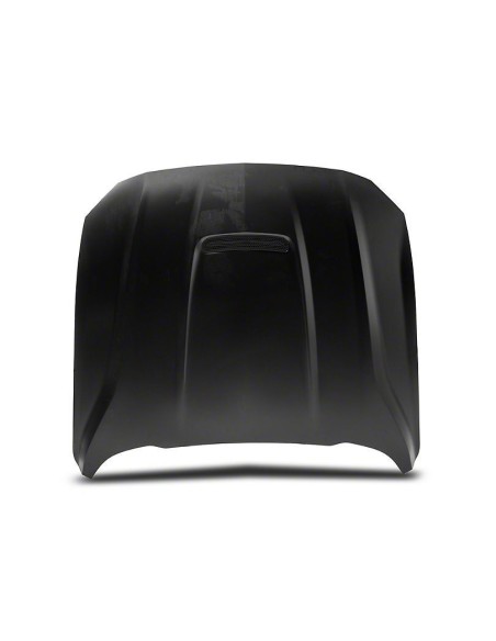 Capó de aluminio estilo GT350 (MUSTANG 18-23 GT, Ecoboost)