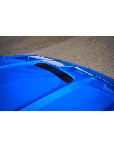 Capó de aluminio estilo GT350 (MUSTANG 18-23 GT, Ecoboost)