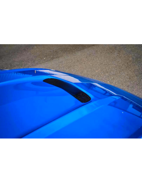 Capó de aluminio estilo GT350 (MUSTANG 18-23 GT, Ecoboost)