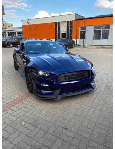 Capó de aluminio estilo GT350 (MUSTANG 18-23 GT, Ecoboost)