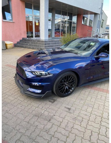 Capó de aluminio estilo GT350 (MUSTANG 18-23 GT, Ecoboost)
