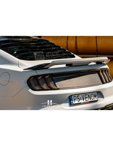 Tail Light Covers - Smoked (MUSTANG 18-23)