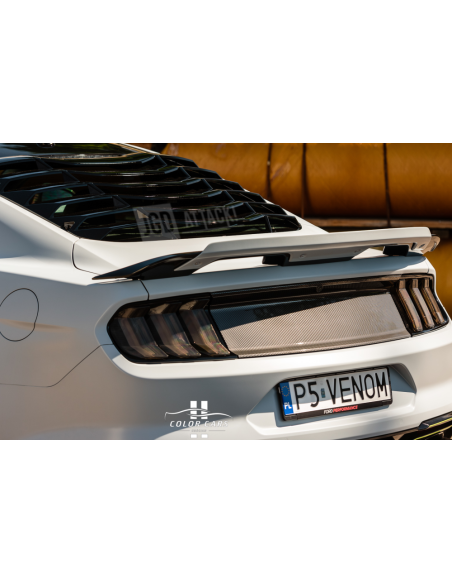 Tail Light Covers - Smoked (MUSTANG 18-23)