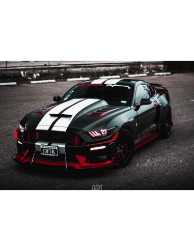 Side Skirts - Sport Rocker Panels (MUSTANG 15-23 GT, EcoBoost, V6)