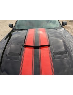 Toma de aire del capó (MUSTANG 18-23 Ecoboost, GT)