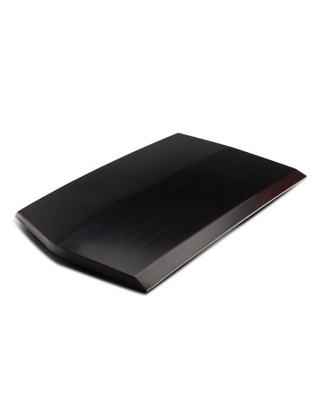 Toma de aire del capó (MUSTANG 18-23 Ecoboost, GT)