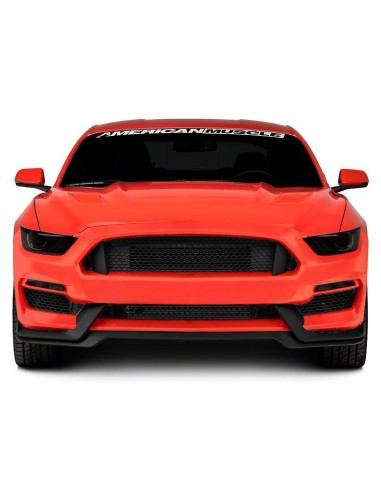 Parachoques delantero estilo GT350 (MUSTANG 15-17 EcoBoost, V6, GT)