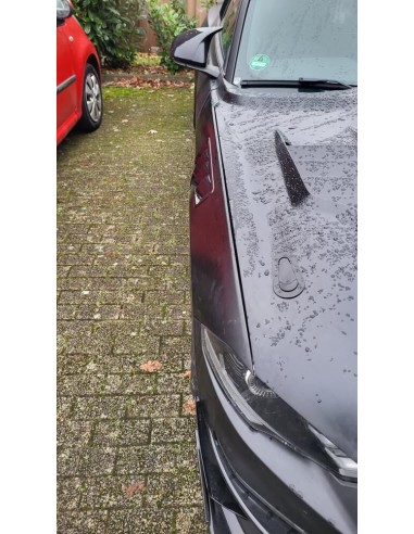 Guardabarros de aluminio - Estilo GT500 (MUSTANG 18-23 GT, Ecoboost)