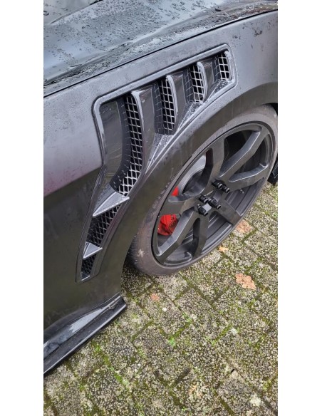 Guardabarros de aluminio - Estilo GT500 (MUSTANG 18-23 GT, Ecoboost)