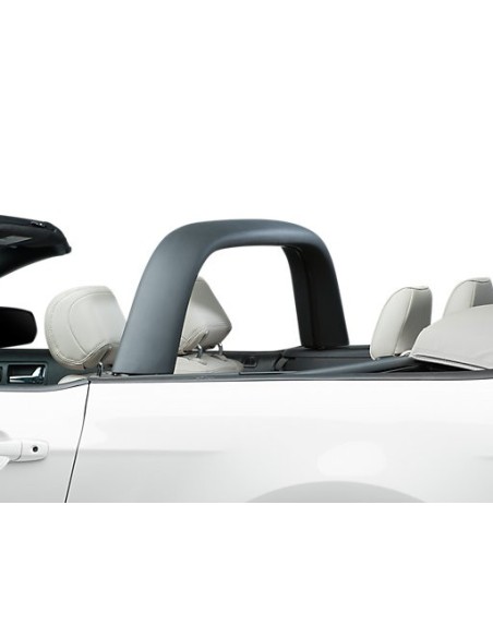 Barra Antivuelco (2005-2014 GT, V6, GT500)