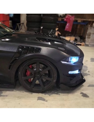 Guardabarros de aluminio - Estilo GT500 (MUSTANG 18-23 GT, Ecoboost)