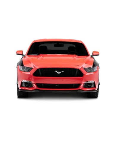 Guardabarros de repuesto estilo GT350 - Aluminio (MUSTANG GT 15-17, EcoBoost, V6)