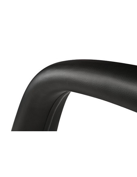 Barra Antivuelco (2005-2014 GT, V6, GT500)