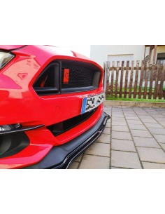 Parrilla superior - Estilo RTR (MUSTANG 15-17 Ecoboost, V6, GT) 2