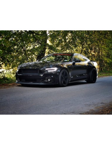 Parrilla superior - Estilo RTR (MUSTANG 15-17 Ecoboost, V6, GT)