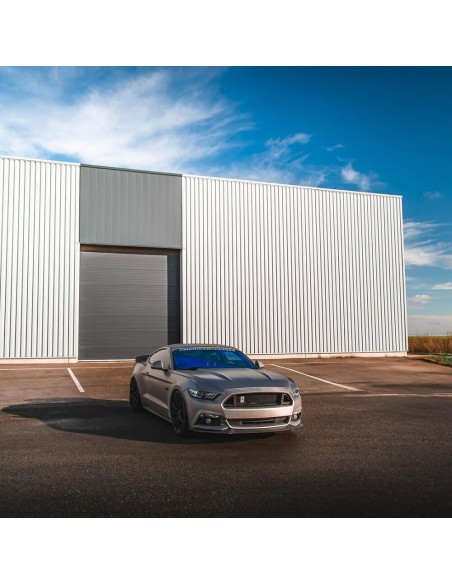 Parrilla superior - Estilo RTR (MUSTANG 15-17 Ecoboost, V6, GT)