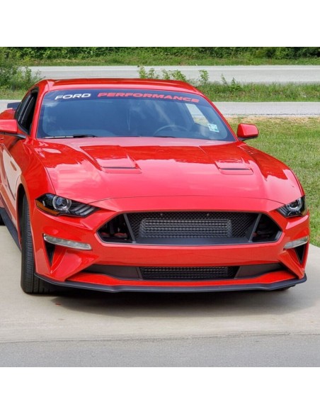 Parrilla inferior (MUSTANG 18-23 GT, Ecoboost)