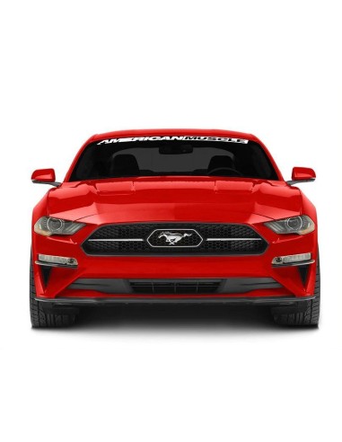 Alerones del parachoques delantero (MUSTANG 18-23 GT, EcoBoost)