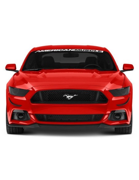 Front Bumper Winglets (MUSTANG 15-17 GT, Ecoboost, V6)