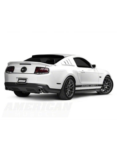 Alerón de visera para ventana de techo trasera (MUSTANG Coupé 05-14)