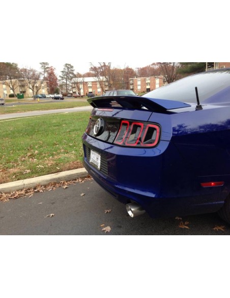 Alerón trasero - Estilo especial GT California (MUSTANG 10-14)