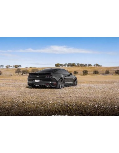 Difusor trasero de escape de un solo orificio - Estilo RTR (MUSTANG 15-17 GT Premium, EcoBoost Premium)