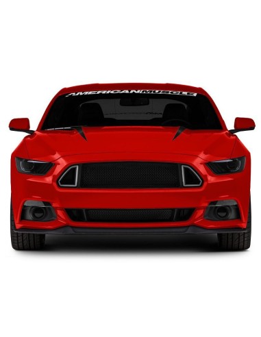 Parrilla superior LED (MUSTANG 15-17 Ecoboost, GT, V6)