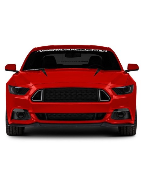 Parrilla superior LED (MUSTANG 15-17 Ecoboost, GT, V6)