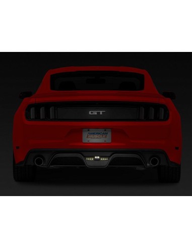 Luz antiniebla LED de marcha atrás ahumada (MUSTANG 15-17)