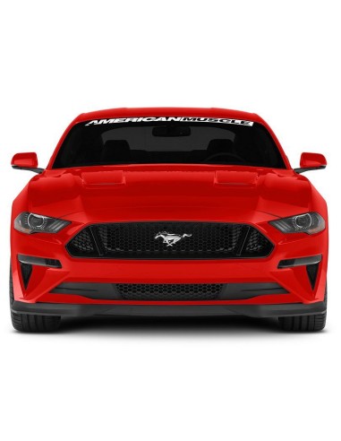 Alerón de parachoques delantero - Estilo RTR (MUSTANG 18-23 Ecoboost, GT)