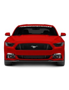 Divisor de luces antiniebla MMD (MUSTANG 15-17 GT, V6, EcoBoost) 2