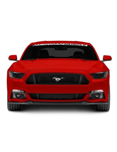 Divisor de luces antiniebla MMD (MUSTANG 15-17 GT, V6, EcoBoost)