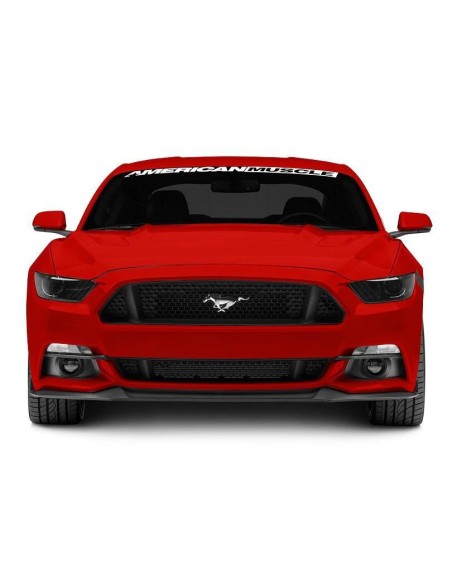 Divisor de luces antiniebla MMD (MUSTANG 15-17 GT, V6, EcoBoost)