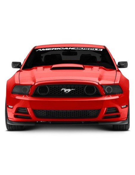 Alerón de parachoques delantero - Estilo GT500 de Cervini (MUSTANG 13-14 GT, V6)